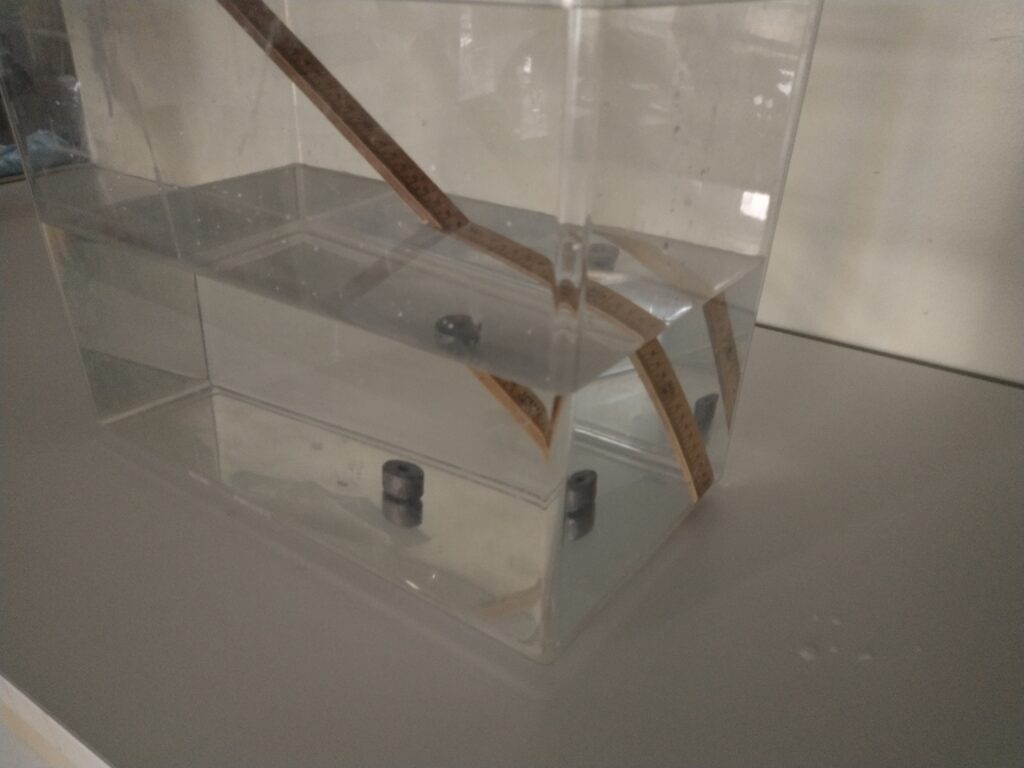 Observer lysbrytning